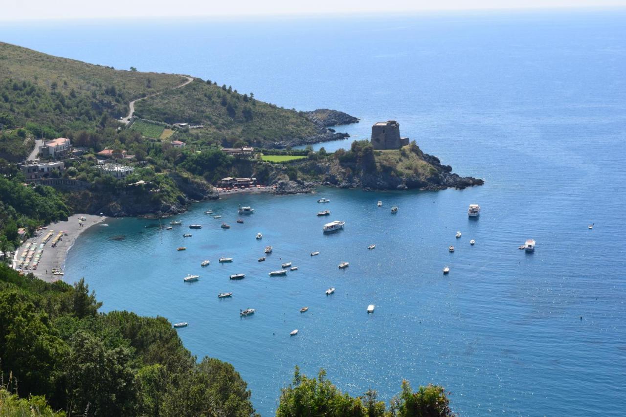 Bed & Breakfast Domus Pepe Scalea Exterior photo